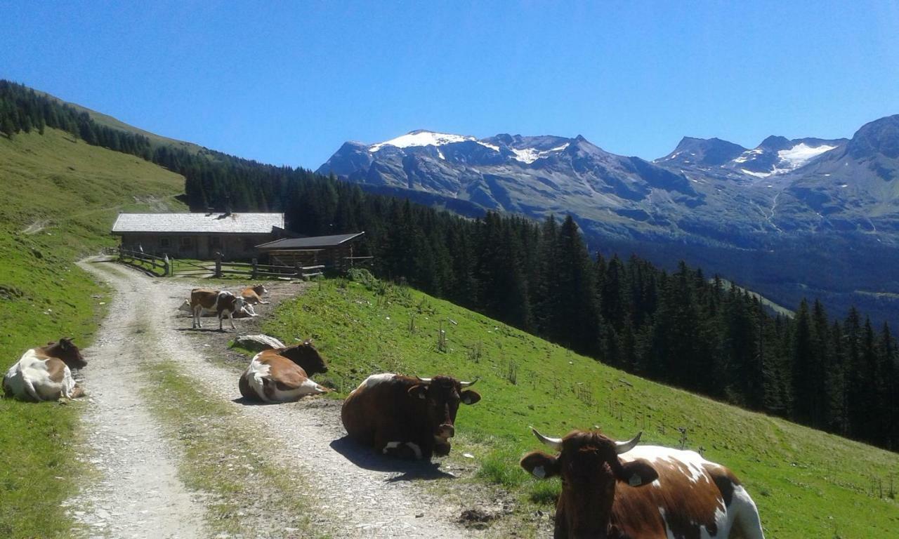Fruehstuecks- Pension Sonnblickhof Раурис Экстерьер фото
