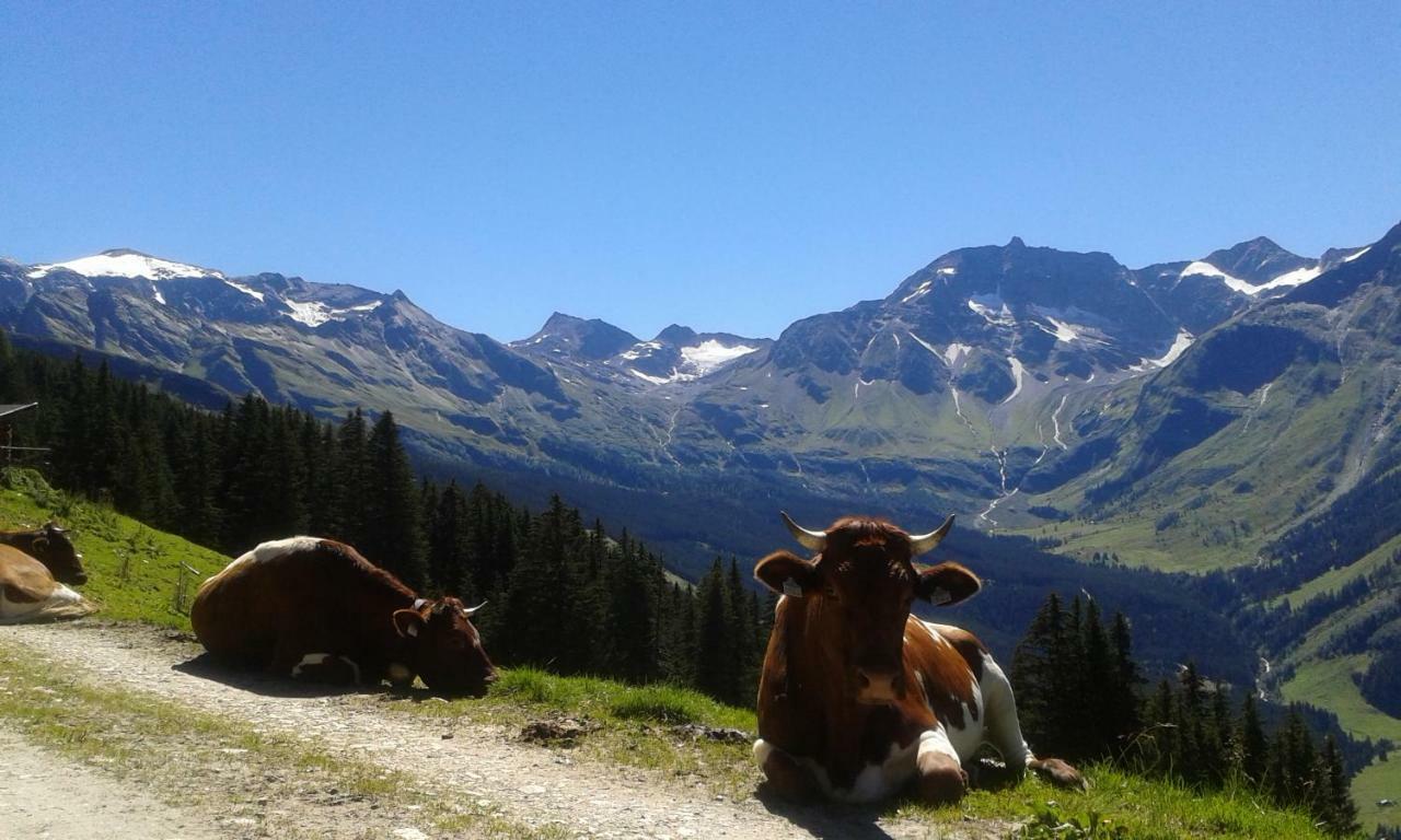 Fruehstuecks- Pension Sonnblickhof Раурис Экстерьер фото